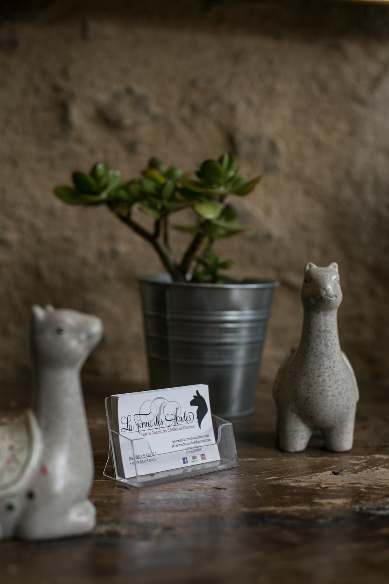 La Ferme Des Andes - Gite L'Atelier Quins 외부 사진