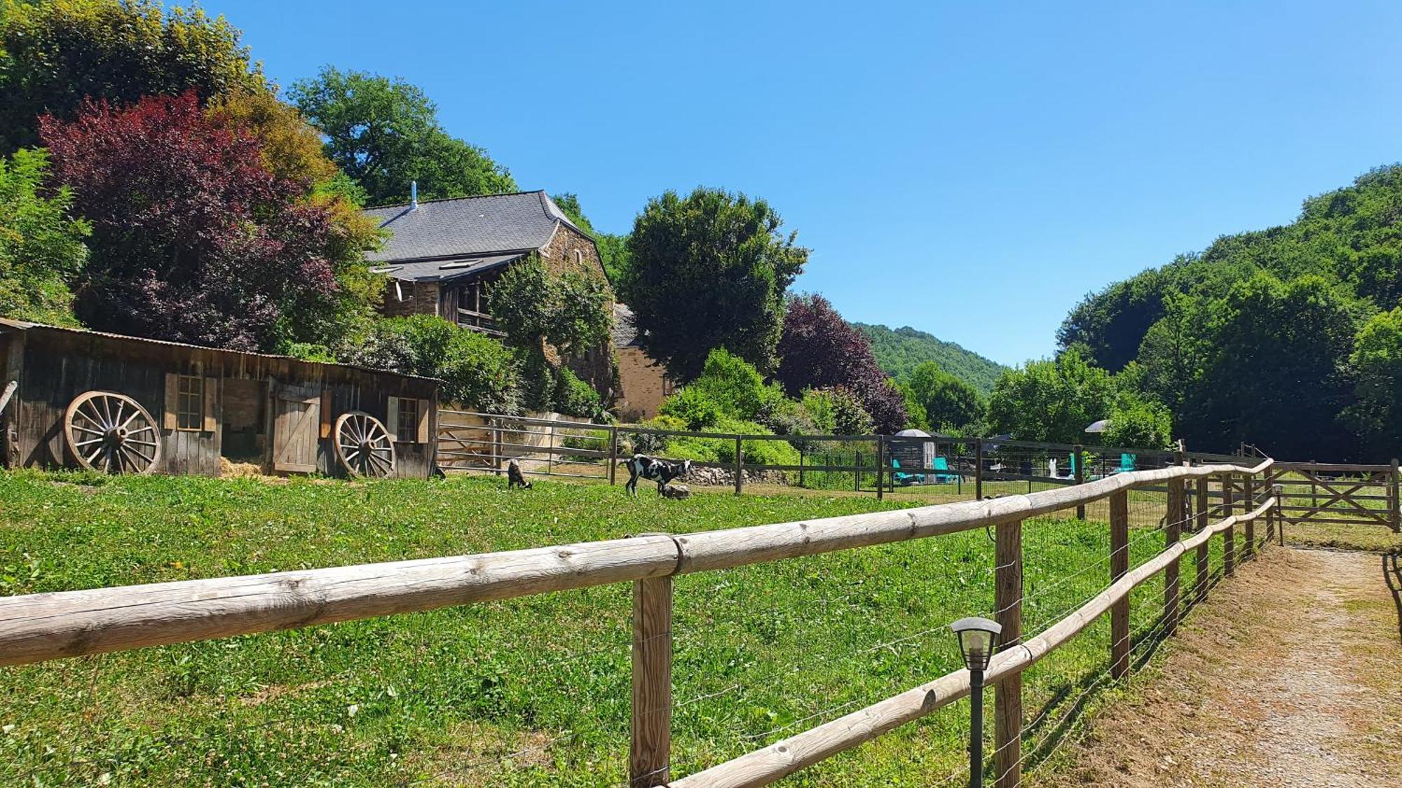 La Ferme Des Andes - Gite L'Atelier Quins 외부 사진