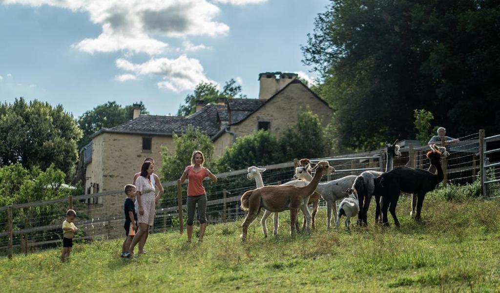 La Ferme Des Andes - Gite L'Atelier Quins 외부 사진
