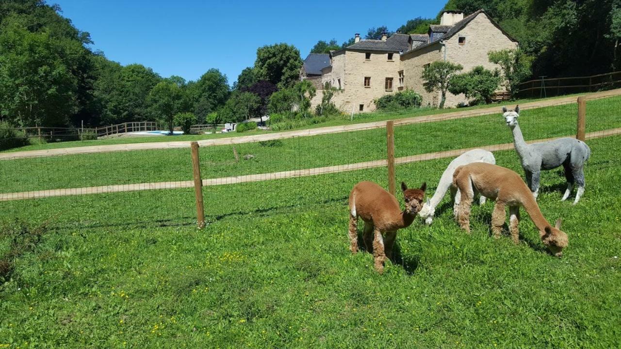 La Ferme Des Andes - Gite L'Atelier Quins 외부 사진