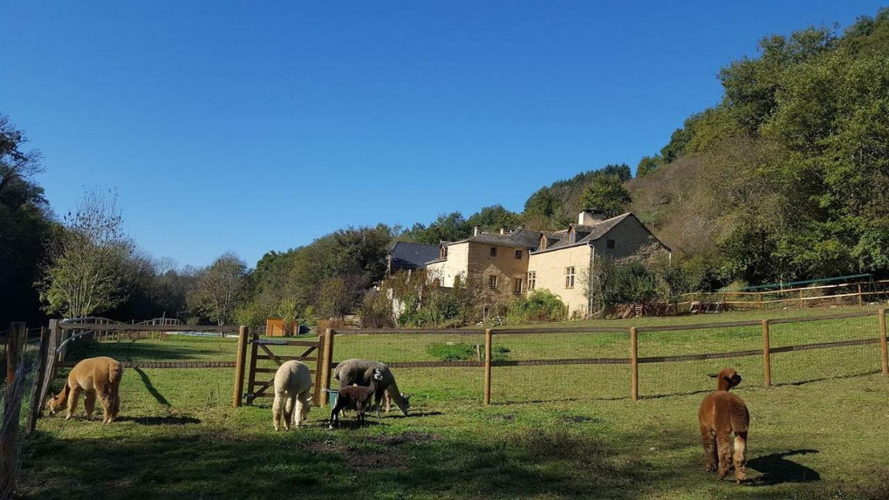 La Ferme Des Andes - Gite L'Atelier Quins 외부 사진